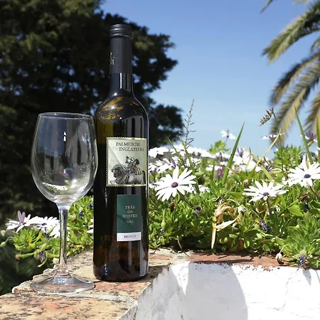 Vale Formoso-authentic &pool-tavira 3km Βίλα Ταβίρα